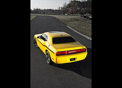 жакеты, Dodge Challenger, Dodge Challenger SRT8, желтые автомобили - оригинальные обои рабочего стола