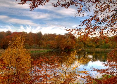 пейзажи, природа, осень, леса - похожие обои для рабочего стола