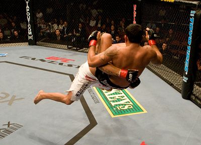 UFC - обои на рабочий стол