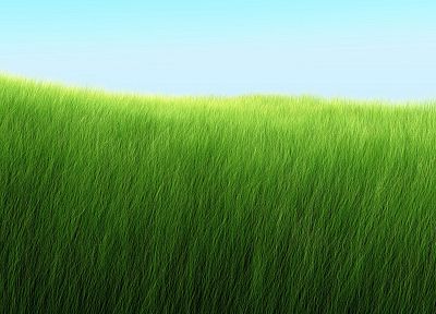 природа, трава, поля, луг - обои на рабочий стол