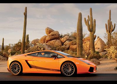 автомобили, оранжевый цвет, Ламборгини, кактус, транспортные средства, суперкары, Lamborghini Gallardo, вид сбоку, Lamborghini Gallardo Superleggera LP570-4, итальянские автомобили - оригинальные обои рабочего стола
