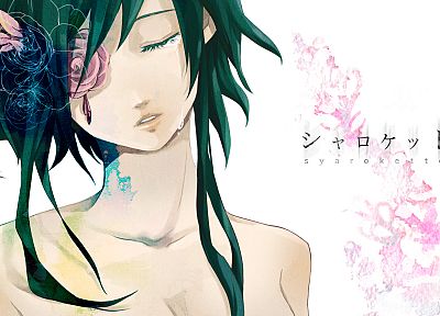 Вокалоид, цветы, зеленые волосы, Megpoid Гуми, аниме девушки - обои на рабочий стол