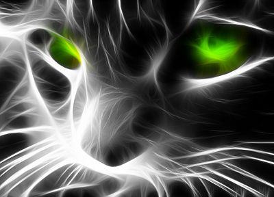 кошки, животные, Fractalius, зеленые глаза - похожие обои для рабочего стола