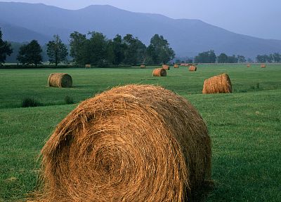 пейзажи, трава, поля, сена, сельское хозяйство, сельское хозяйство - похожие обои для рабочего стола