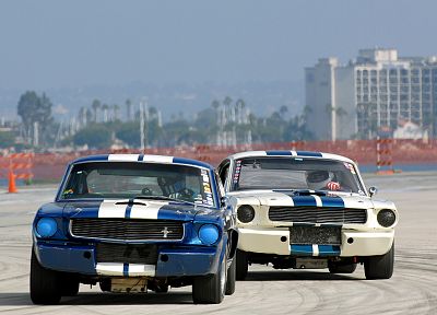 автомобили, транспортные средства, Форд Мустанг, Shelby Mustang - обои на рабочий стол