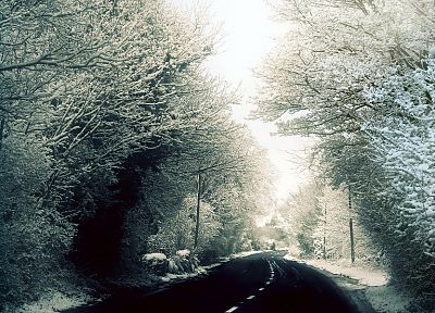 зима, снег, деревья, леса, дороги, Джордж Харрисон - оригинальные обои рабочего стола