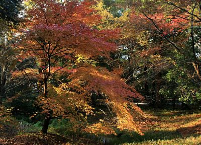 пейзажи, осень, святыня, кленовый лист - оригинальные обои рабочего стола
