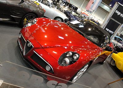 автомобили, Alfa Romeo, Alfa Romeo 8C - копия обоев рабочего стола