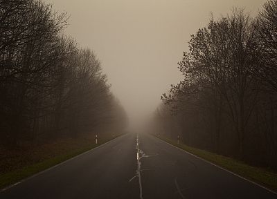 деревья, туман, дороги - случайные обои для рабочего стола
