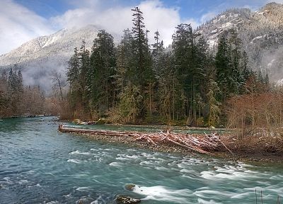 деревья, туман, реки, Национальный парк, Вашингтон - обои на рабочий стол