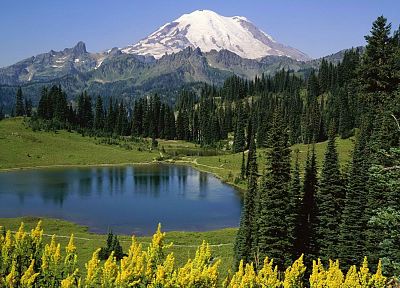 горы, пейзажи, деревья, озера, Национальный парк, Маунт-Рейнир, Государственный Вашингтон - копия обоев рабочего стола