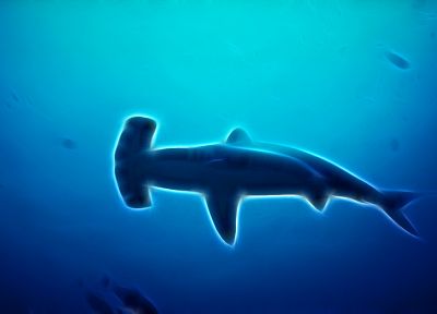 Fractalius, акулы - случайные обои для рабочего стола