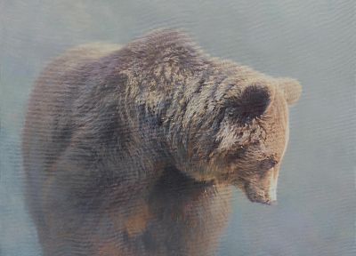 туман, медведи, HDR фотографии, млекопитающие - случайные обои для рабочего стола