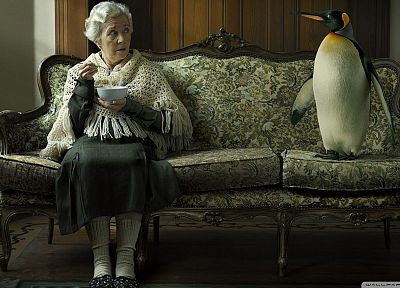 девушки, диван, старый, смешное, пингвины - случайные обои для рабочего стола