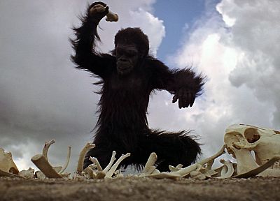 обезьяны, Одиссея, 2001, гоминид - случайные обои для рабочего стола