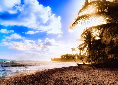 океан, облака, песок, деревья, тропический, солнечный свет, пальмовые деревья, небо, пляжи - оригинальные обои рабочего стола