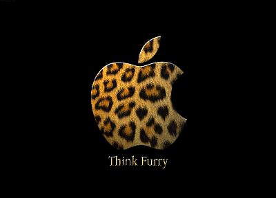 Эппл (Apple), мех, технология, логотипы, леопардовый - оригинальные обои рабочего стола