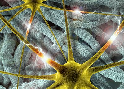 мозг, синапс, нейроны - похожие обои для рабочего стола