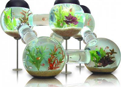 аквариум, садок для рыбы - оригинальные обои рабочего стола