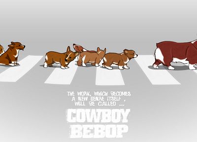 Cowboy Bebop, корги - случайные обои для рабочего стола