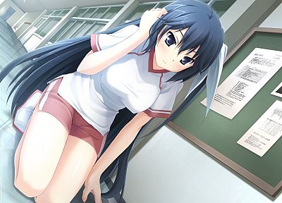 длинные волосы, синие волосы, аниме - обои на рабочий стол