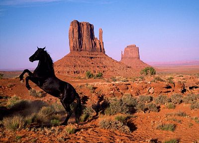 пейзажи, животные, лошади - оригинальные обои рабочего стола