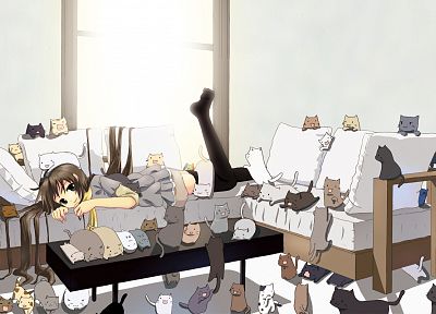 кошки, аниме девушки - обои на рабочий стол