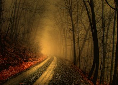 деревья, осень, леса, пути, туман, туман, дороги - оригинальные обои рабочего стола