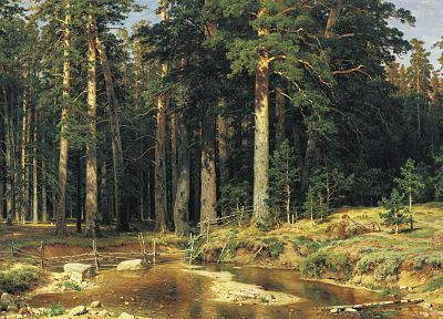 картины, леса, произведение искусства, Иван Шишкин - обои на рабочий стол