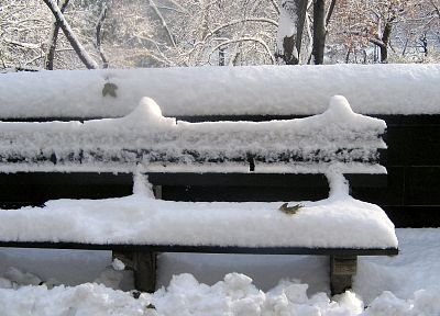 зима, снег, скамейки - обои на рабочий стол