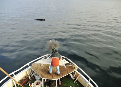 корабли, киты, рыбалка - случайные обои для рабочего стола