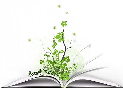 растения, книги - оригинальные обои рабочего стола