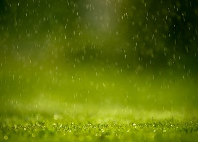 дождь, трава - оригинальные обои рабочего стола
