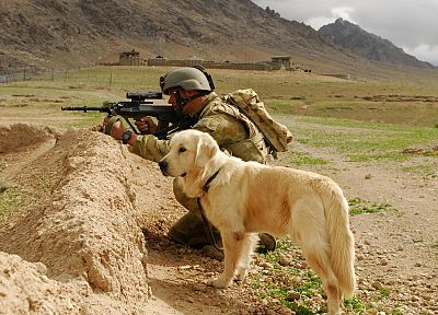 солдат, собаки, Август - обои на рабочий стол
