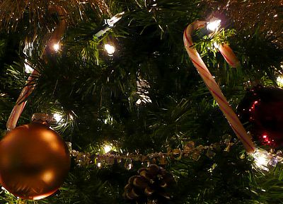 Рождественские елки - похожие обои для рабочего стола