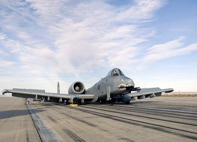 самолет, военный, бородавочник, транспортные средства, А-10 Thunderbolt II, нос искусство, 10 - - оригинальные обои рабочего стола