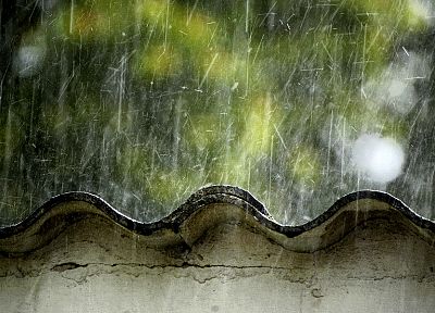 природа, дождь - обои на рабочий стол