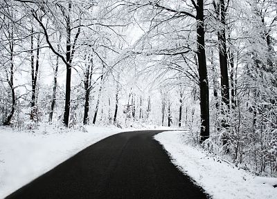 природа, зима, снег, деревья, дороги - случайные обои для рабочего стола