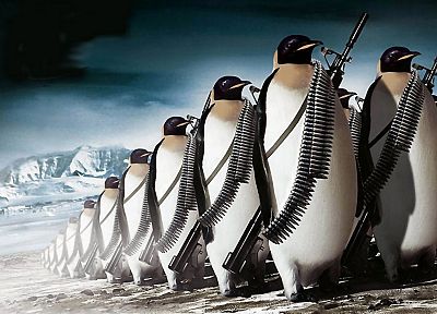 армия, пингвины - оригинальные обои рабочего стола
