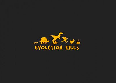 эволюция - оригинальные обои рабочего стола