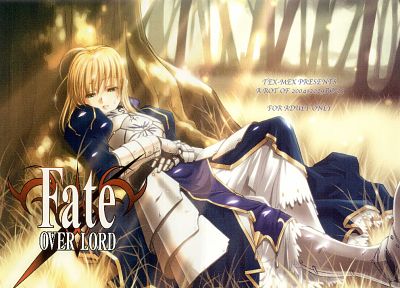 Fate/Stay Night (Судьба), Type-Moon, Сабля, Fate series (Судьба) - случайные обои для рабочего стола