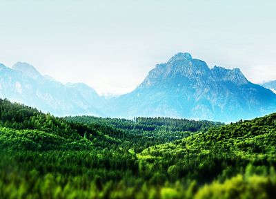 горы, пейзажи, леса, туман, Бавария, сдвигом и наклоном - копия обоев рабочего стола