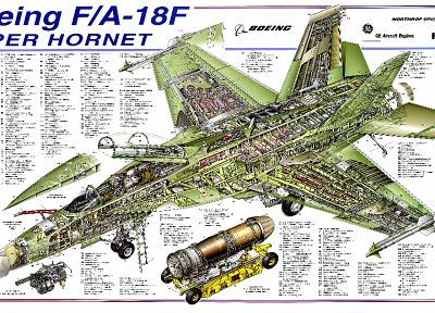 Hornet самолетов, Боинг, инфографика, F- 18 Hornet - оригинальные обои рабочего стола