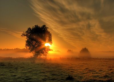 восход, облака, пейзажи, Солнце, деревья, луга, туман - оригинальные обои рабочего стола