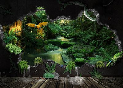 джунгли, растения - оригинальные обои рабочего стола