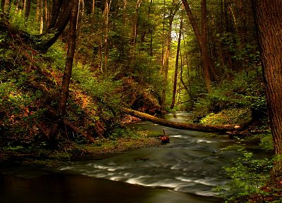 леса, реки - оригинальные обои рабочего стола