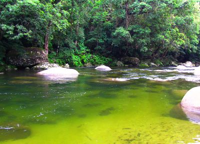 зеленый, природа, джунгли, желтый цвет, реки - оригинальные обои рабочего стола