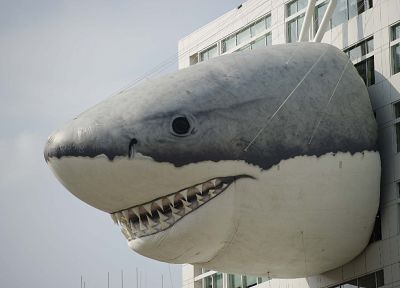 здания, акулы - похожие обои для рабочего стола