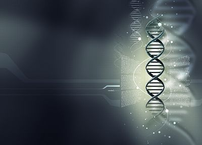 ДНК - копия обоев рабочего стола