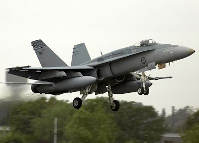 самолет, транспортные средства, F- 18 Hornet - оригинальные обои рабочего стола